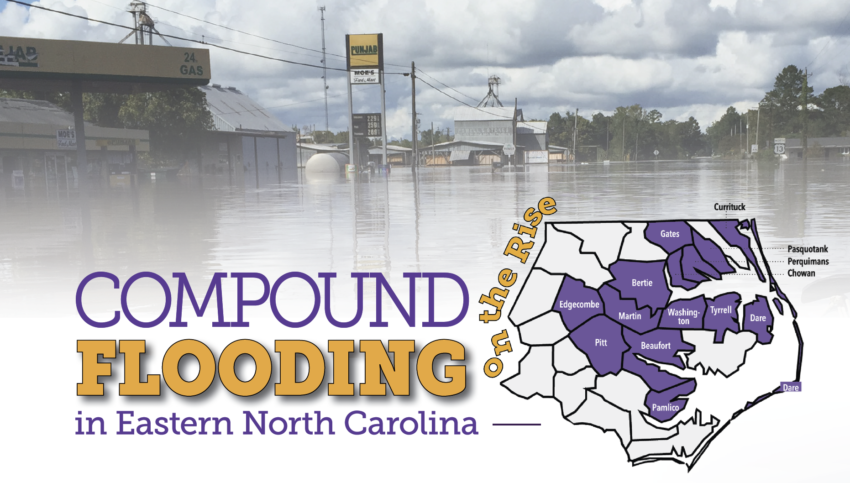 portrait of Anuradha Mukherji