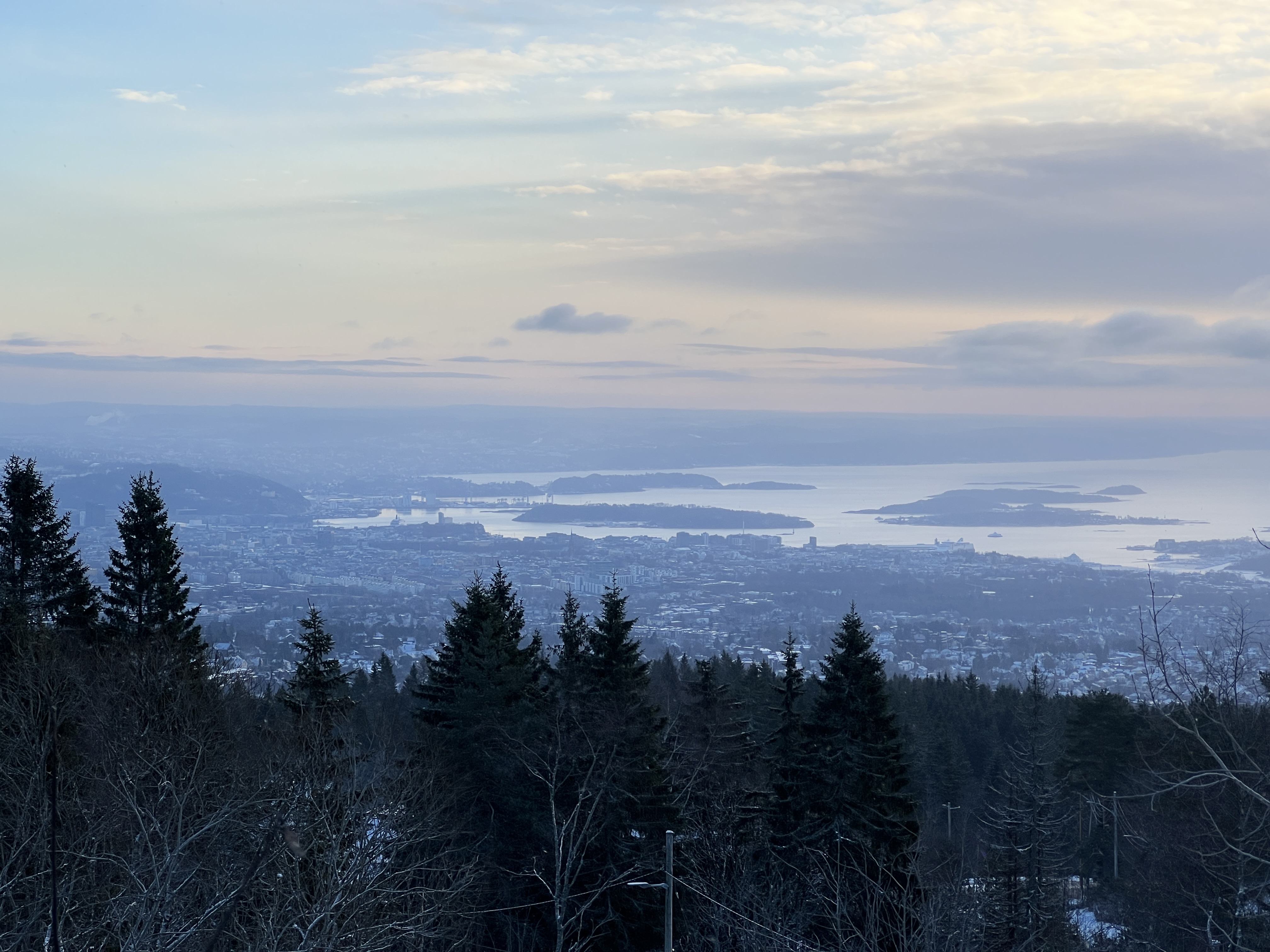portrait of Ted Grevstad-Nordbrock
