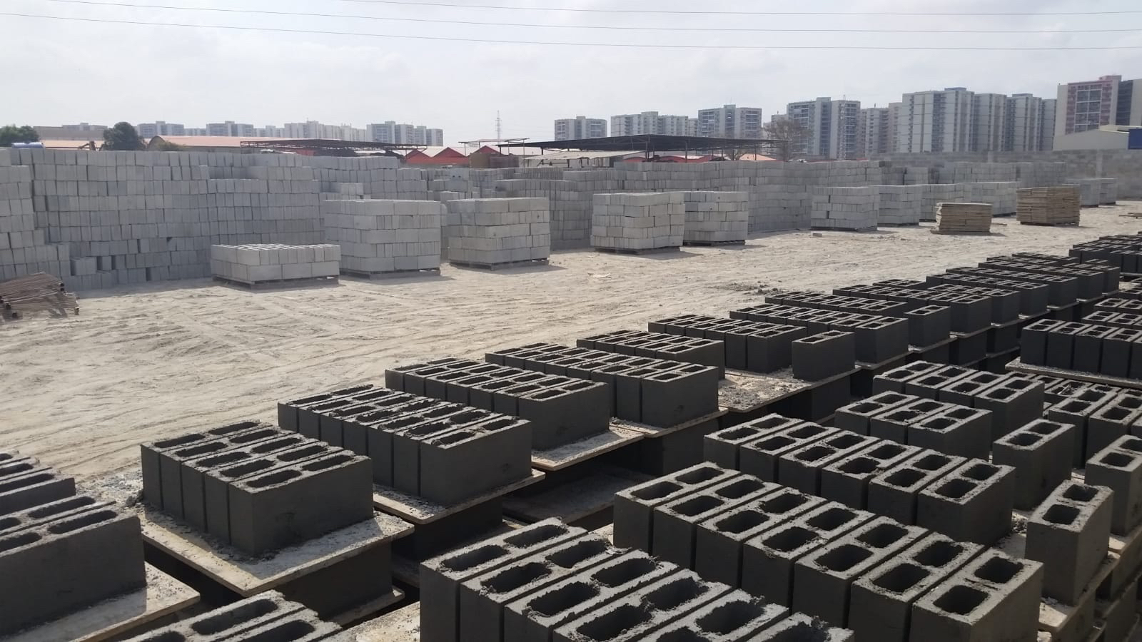 portrait of Ricardo Cardoso