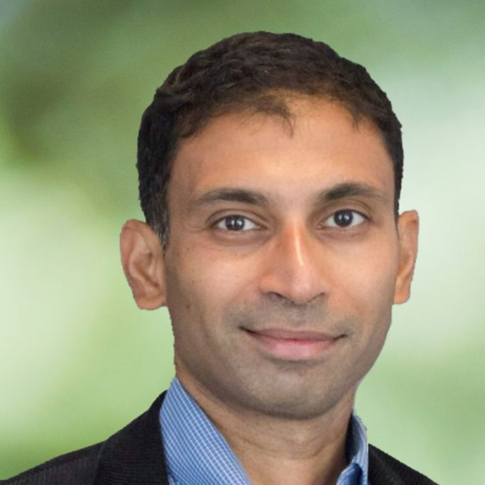 portrait of Nikhil Kaza