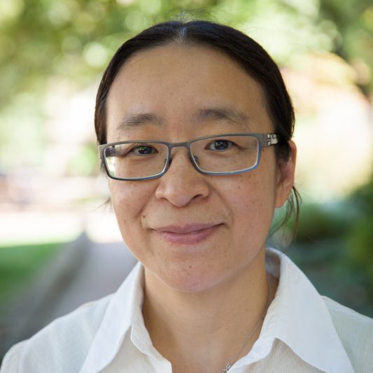 portrait of Yan Song