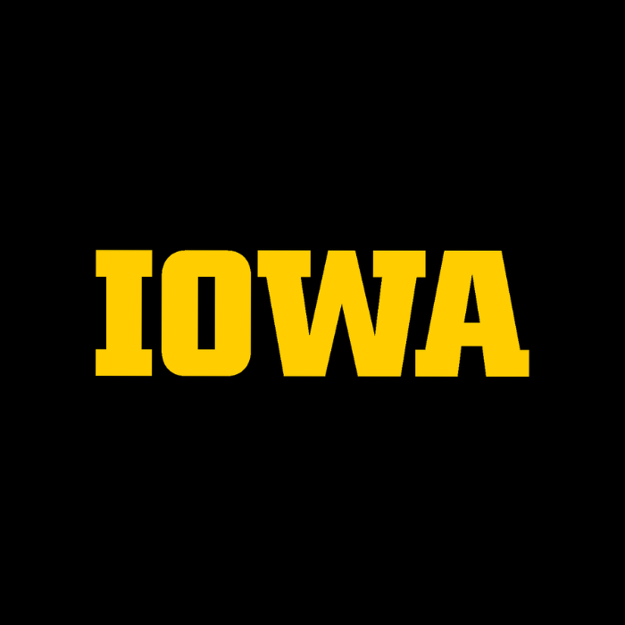 logo for University of Iowa